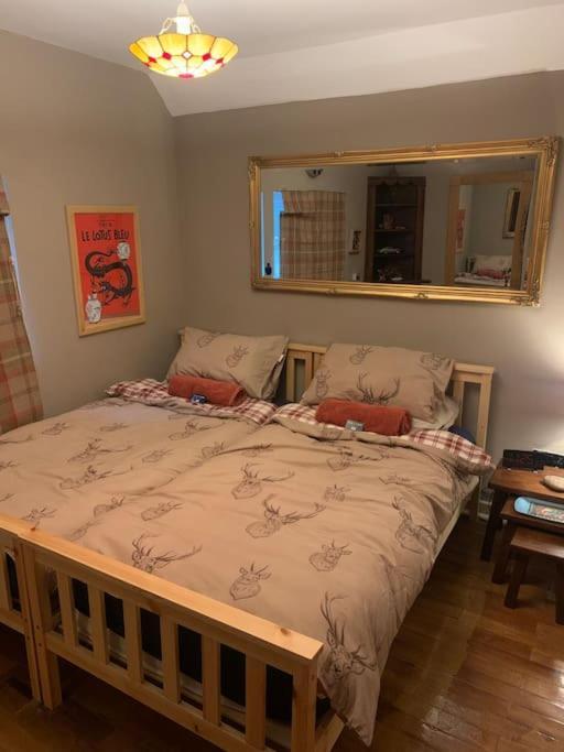Bear Cottage, Tyn Y Cwm Eglwys-Fach Esterno foto