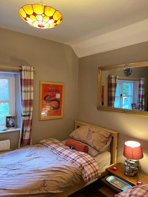 Bear Cottage, Tyn Y Cwm Eglwys-Fach Esterno foto
