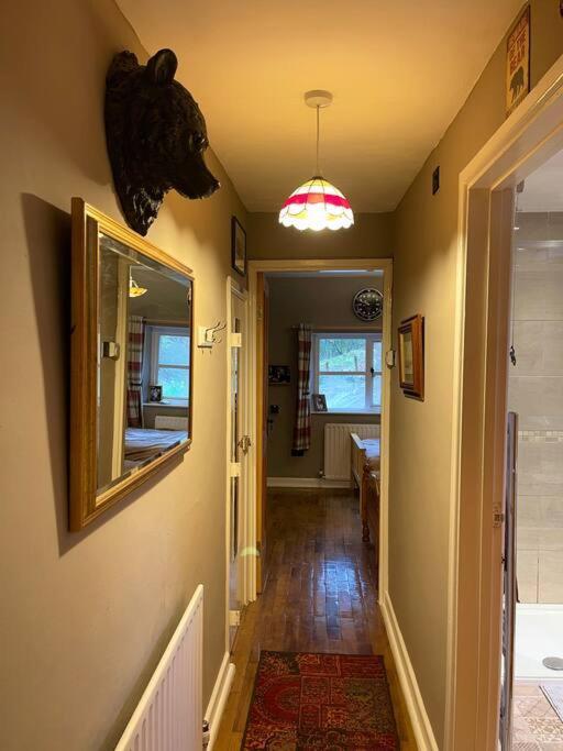 Bear Cottage, Tyn Y Cwm Eglwys-Fach Esterno foto